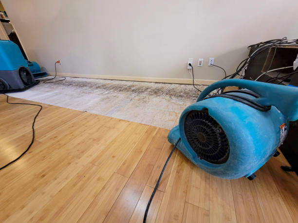 Professional Ceiling Water Damage Repair technician working in Ridgeway, OH